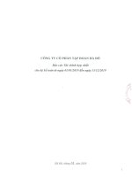Báo cáo tài chính công ty cổ phần tập đoàn hà đô 1596684419