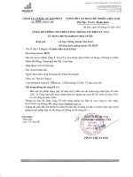 Báo cáo tài chính công ty cổ phần đầu tư hải phát 1684175260