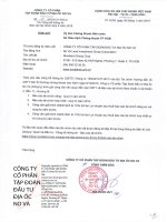 Báo cáo tài chính công ty cổ phần tập đoàn đầu tư địa ốc no va 1596596960