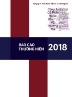 Báo cáo tài chính công ty cổ phần harec đầu tư và thương mại 1598011538