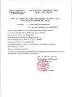 Báo cáo tài chính công ty cổ phần đầu tư thương mại bất động sản an dương thảo điền 1690916556