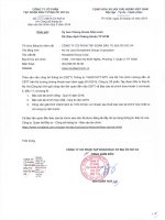 Báo cáo tài chính công ty cổ phần tập đoàn đầu tư địa ốc no va 1596712344