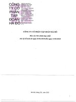 Báo cáo tài chính công ty cổ phần tập đoàn hà đô 1596684572