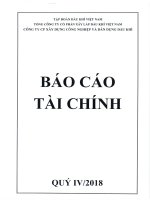 Báo cáo tài chính tổng công ty cổ phần đầu tư và phát triển kcn dầu khí long sơn 1596570691