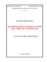 Hệ thống phân loại hạt cà phê dựa trên xử lý hình ảnh