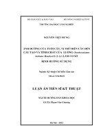(LUẬN án TIẾN sĩ) ảnh hưởng của tuổi cây, vị trí trên cây đến cấu tạo và tính chất của luồng dendrocalamus barbatus) làm cơ sở định hướng sử dụng