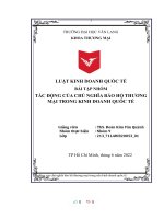 Luật Kinh Doanh Quốc Tế Bài Tập Nhóm Tác Động Của Chủ Nghĩa Bảo Hộ Thương Mại Trong Kinh Doanh Quốc Tế.pdf