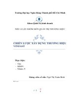 TIỂU LUẬN NHÓM môn QUẢN TRỊ THƯƠNG HIỆU CHIẾN lược xây DỰNG THƯƠNG HIỆU VINFAST