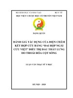 Luận văn thạc sĩ đánh giá tác dụng của điện châm kết hợp cứu bằng “đai hộp ngải cứu việt” điều trị đau thắt lưng do thoái hóa cột sống