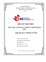 Báo Cáo Thực Hành Môn Thực Hành Quá Trình Thiết Bị Hóa Học Bài Th Quá Trình Cô Đặc.pdf