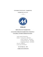 ESSAY PRINCIPLES OF MARKETING ANALYSIS OF BRAND MARKETING STRATEGY VINAMILK AND RECOMMENTDATION