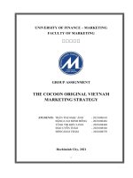 GROUP ASSIGNMENT THE COCOON ORIGINAL VIETNAM MARKETING STRATEGY