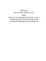 Tiểu luận khoa học chính sách công phân tích các tiêu chí đánh giá chính sách công  lựa chọn chính sách và phân tích