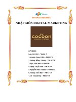 Phân Tích Thực Trạng Ứng Dụng Digital Marketing Tại Công Ty Cổ Phần Cocoon Công Ty Tnhh Mỹ Phẩm Nature Story Trong 3 Năm Gần Đây.pdf