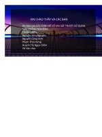 Báo Cáoxác Định Hệ Số Ma Sát Trượt Sử Dụng Mặt Phẳng Nghiêng.pdf