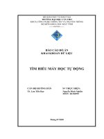 Báo Cáo Đồ Án Khai Khoán Dữ Liệu Tìm Hiểu Máy Học Tự Động.pdf