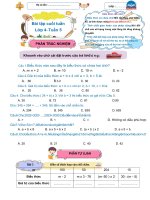 5.Btct 5- Toán - Ctst.docx