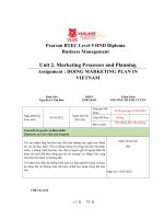Unit 2 marketing processes and planning assignment DOING MARKETING PLAN IN VIETNAM