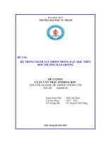 Hệ Thống Đánh Giá Nhóm Trong Dạy Học Trên Môi Trường B Learning.pdf