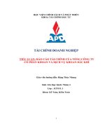 (TIỂU LUẬN) TIỂU LUẬN báo cáo tài CHÍNH của TỔNG CÔNG TY cổ PHẦN KHOAN và DỊCH vụ KHOAN dầu KHí