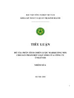 (TIỂU LUẬN) TIỂU LUẬN đề tài PHÂN TÍCH CHIẾN lược MARKETING MIX CHO sản PHẨM bột GIẶT OMO của CÔNG TY UNILEVER
