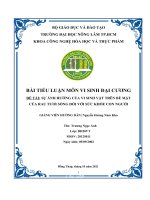 (Tiểu Luận) Tiểu Luận Môn Vi Sinh Đại Cương Đề Tài Sự Ảnh Hưởng Của Vi Sinh Vật Trên Bề Mặt Của Rau Tươi Sống Đối Với Sức Khỏe Con Người.pdf