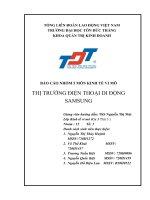 (TIỂU LUẬN) môn KINH tế VI mô THỊ TRƯỜNG điện THOẠI DI ĐỘNG SAMSUNG