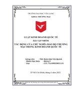 Bài Tập Nhóm Tác Động Của Chủ Nghĩa Bảo Hộ Thương Mại Trong Kinh Doanh Quốc Tế.pdf