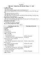 Tuan 24 ôn tập toán