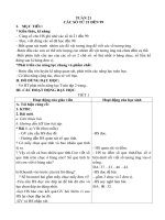 Tuan 21 ôn tập toán