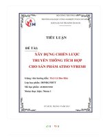 TIỂU LUẬN đề tài xây DỰNG CHIẾN lược TRUYỀN THÔNG TÍCH hợp CHO sản PHẨM ATISO VFRESH