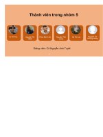 (Tiểu Luận) Tiểu Luận Marketing Căn Bản Đề Tài Tìm Hiểu Hoạt Động Marketing Thương Hiệu Tocotoco.pdf