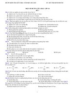 Mot So De On Hki-Lop 10-In Vl.docx