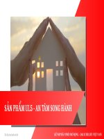 Ul5_An Tâm Song Hành.pptx