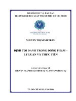 Định tội danh trong đồng phạm – lý luận và thực tiễn