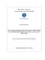 Quy chế nền kinh tế phi thị trường trong pháp luật chống bán phá giá của wto   lý luận và thực tiễn