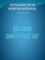 Bài giảng Sinh lý thực vật