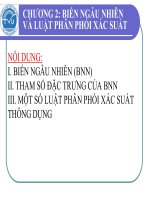Chuong 2-Bnn Va Qui Luat Ppxs (1).Pdf