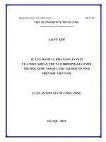 Sự lưu hành và khả năng ly giải của thực khuẩn thể tả (Vibriophage) ở môi trường nước ngoại cảnh tại một số tỉnh miền Bắc Việt Nam