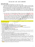 Câu Hỏi Ôn Tập Adn - Arn - Protein .Pdf