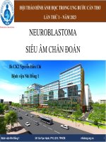 SIÊU ÂM CHẨN ĐOÁN Neuroblastoma Ở Trẻ Em 