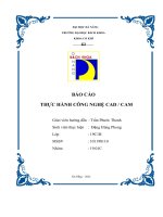 Báo Cáo Thực Hành Công Nghệ Cad  Cam  Chọn Và Trình Bày Chi Tiết Các Bước Vẽ Chi Tiết..pdf