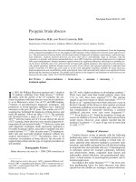 Pyogenic brain abscess