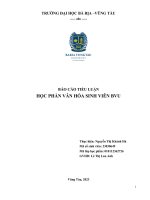 Tiểu Luân Văn Hóa Sinh Viên.docx