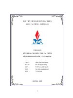 Tiểu luận đề tài báo cáo phân tích tài chính công ty cổ phần đầu tư nam long