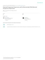 Paternal Postpartum Depression And Its Relationship With Maternal Postpartum Depression.pdf