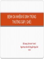 Bệnh da nhiễm ký sinh trùng thường gặp Bệnh ghẻ