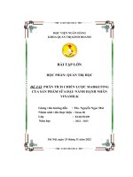 (Tiểu luận) đề tài phân tích chiến lược marketingcủa sản phẩm sữa đậu nành hạnh nhânvinamilk