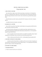 H Wui Mlo 20901113- Kế Hoạch Dạy Học Dụ Án Làm Biển Báo Giao Thông.docx