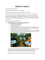 Project (7).Docx